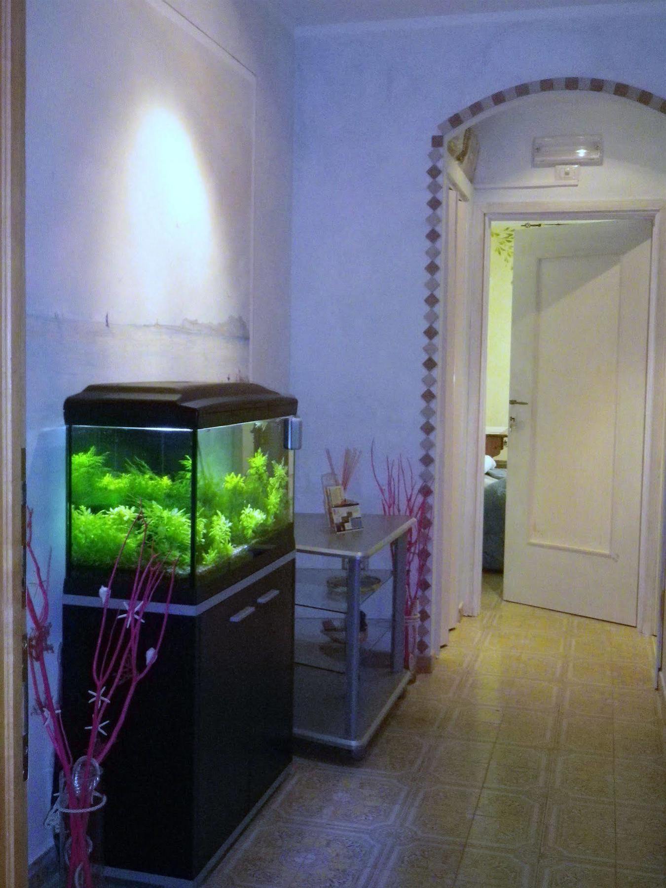Elisart Guest House Alghero Ngoại thất bức ảnh